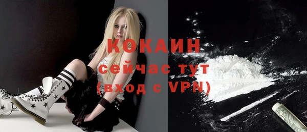 индика Нея