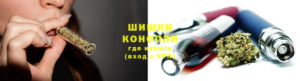 индика Нея