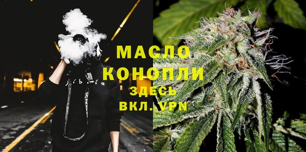 индика Нея