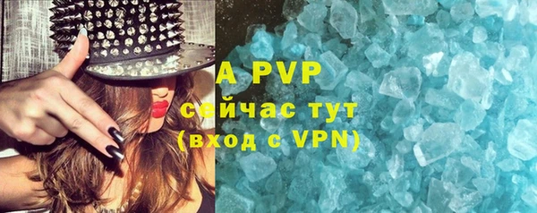индика Нея