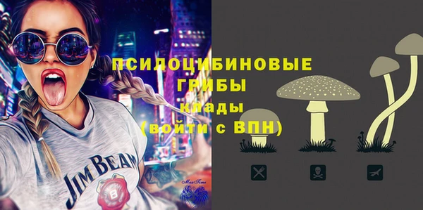 индика Нея