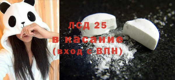 индика Нея