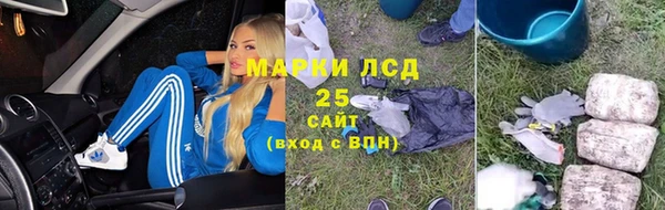 индика Нея