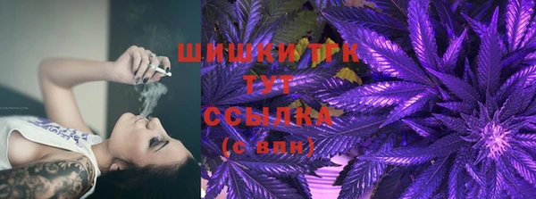 индика Нея