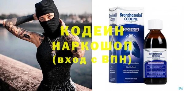 индика Нея
