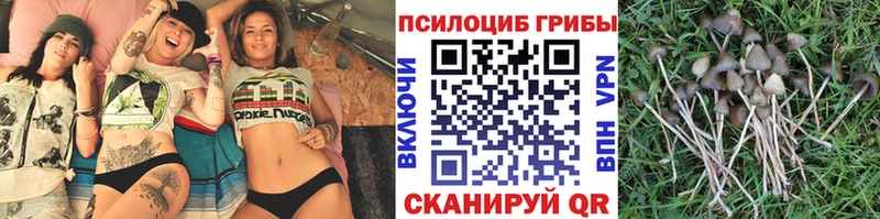 Псилоцибиновые грибы GOLDEN TEACHER  Янаул 