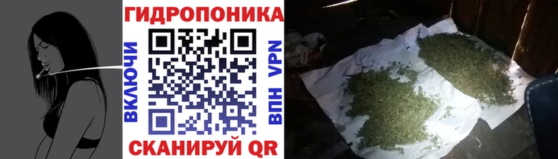 Конопля SATIVA & INDICA  Янаул 